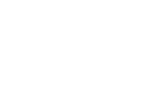Igland Logo V White RGB