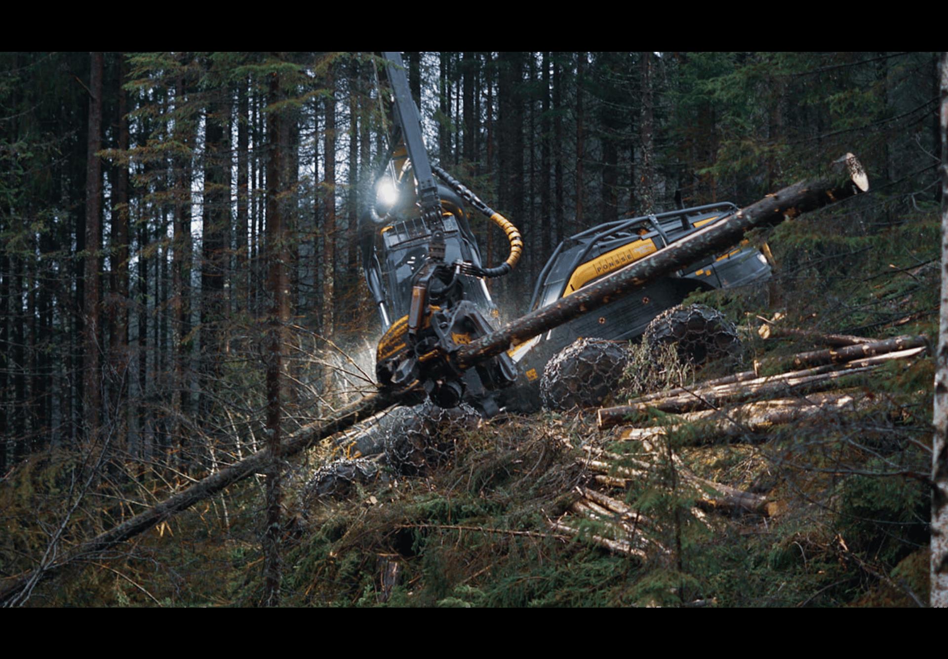 bilde_Skog Banner