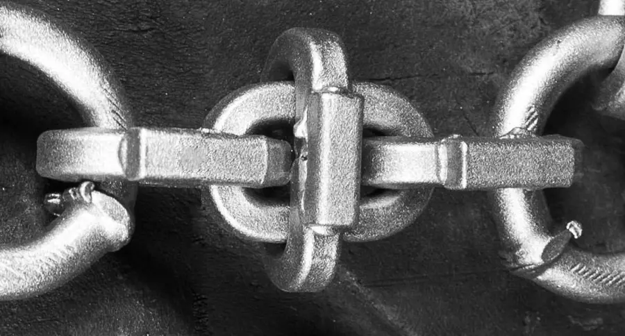 pic_Swiss__2438_swiss_detail.jpg