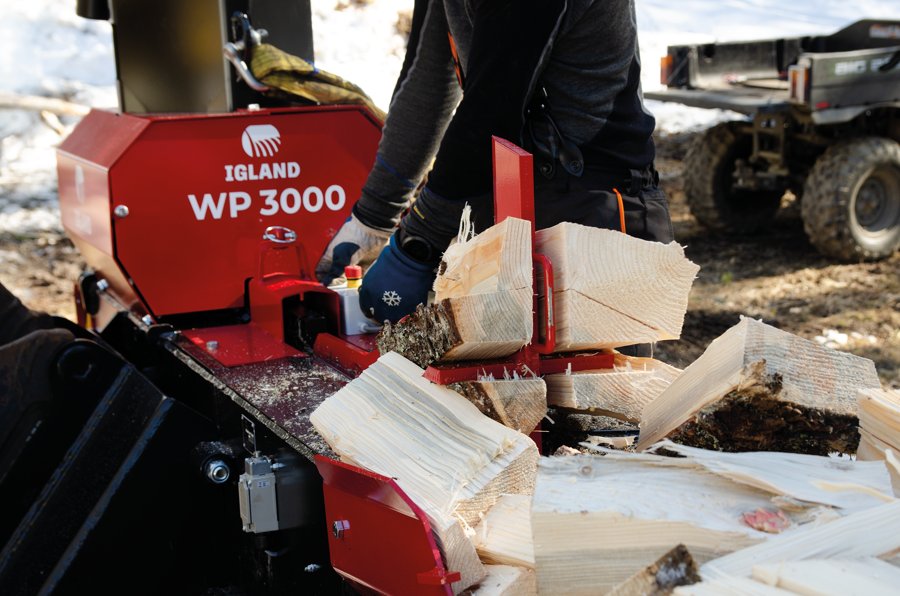 pic_IGLAND WP 3000 WOODPROCESSOR__WP 3000 Action 4
