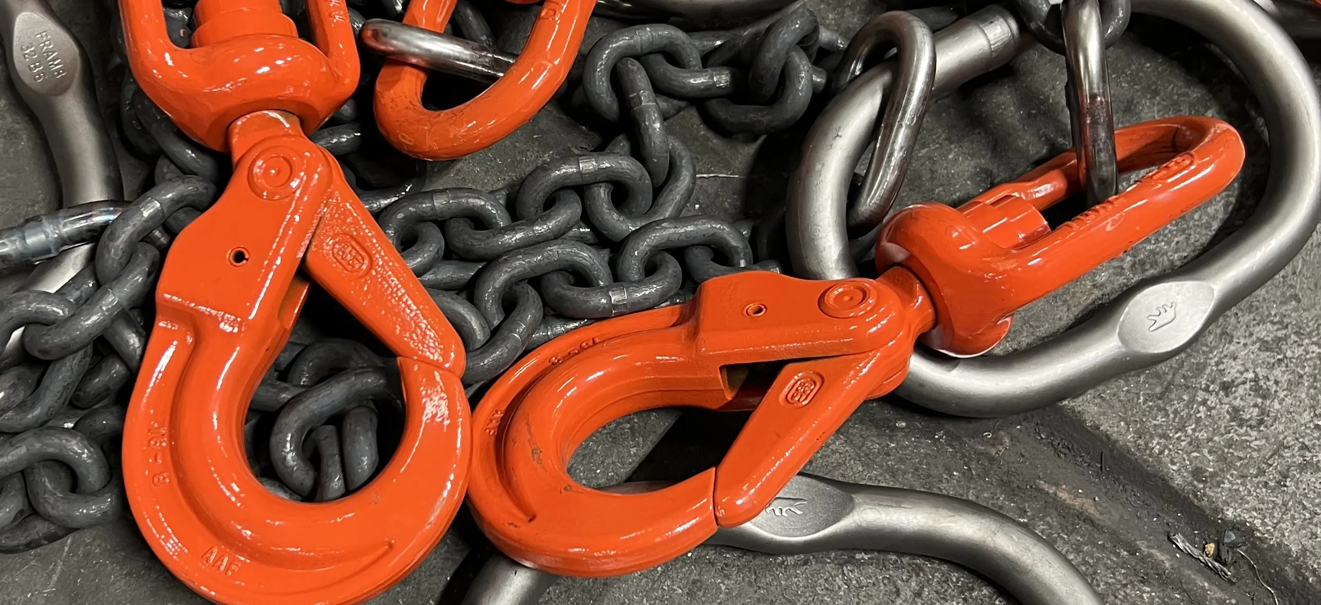 2024 02 16 08.52.13 2