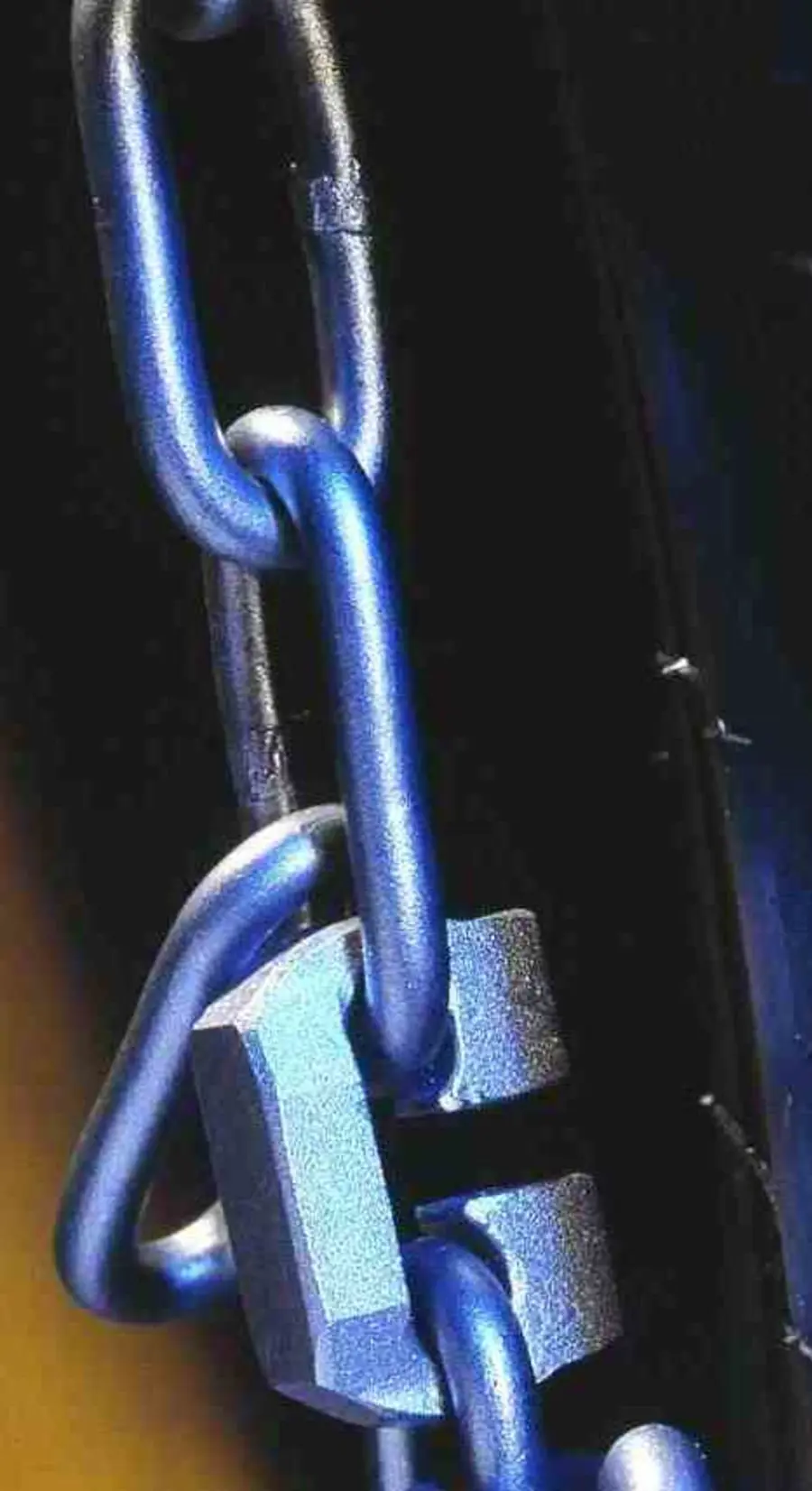 pic_SMT Flexi 8mm__2441_smtflexidetail.jpg