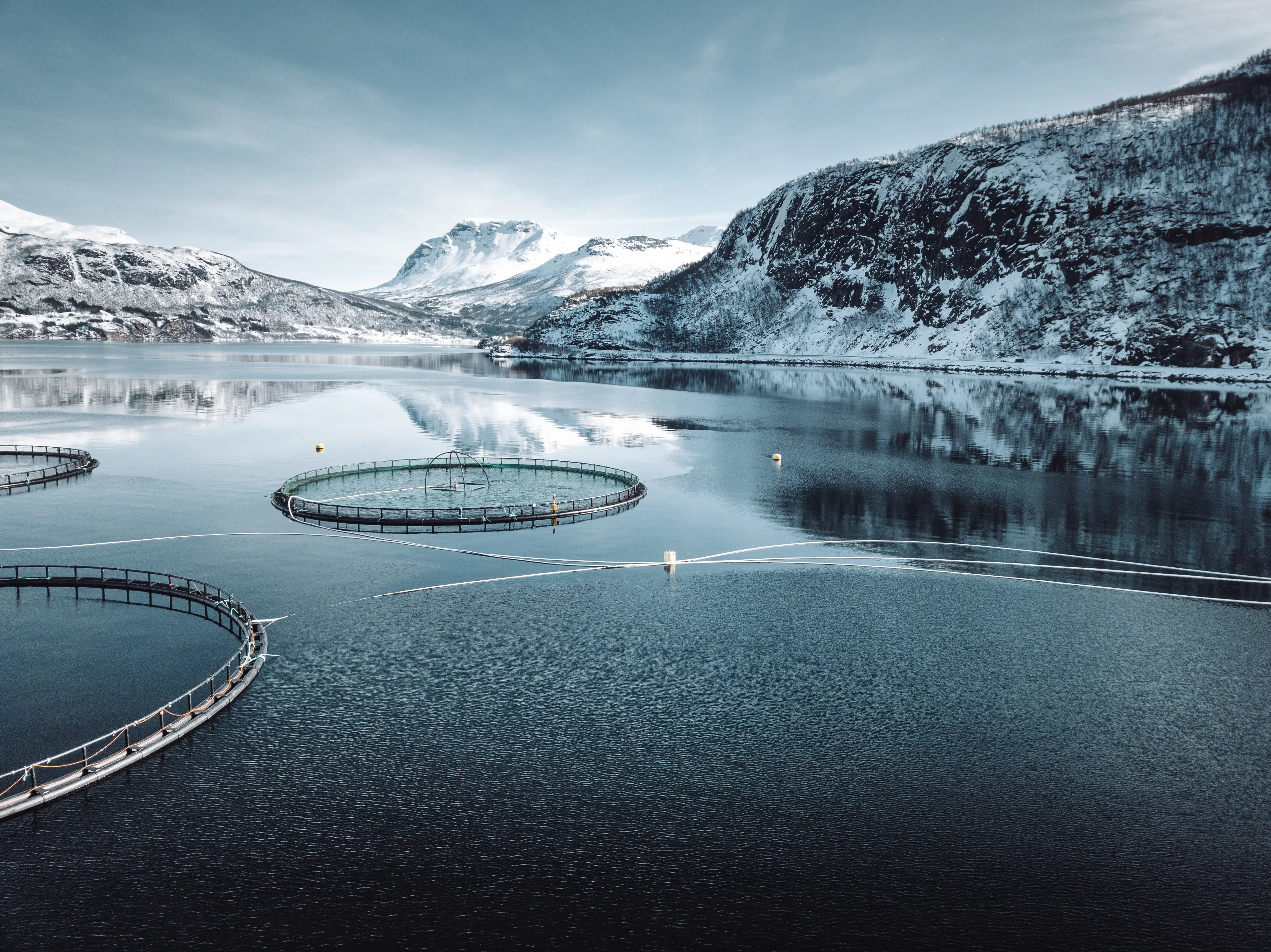 herobilde_Trawl and Aquaculture