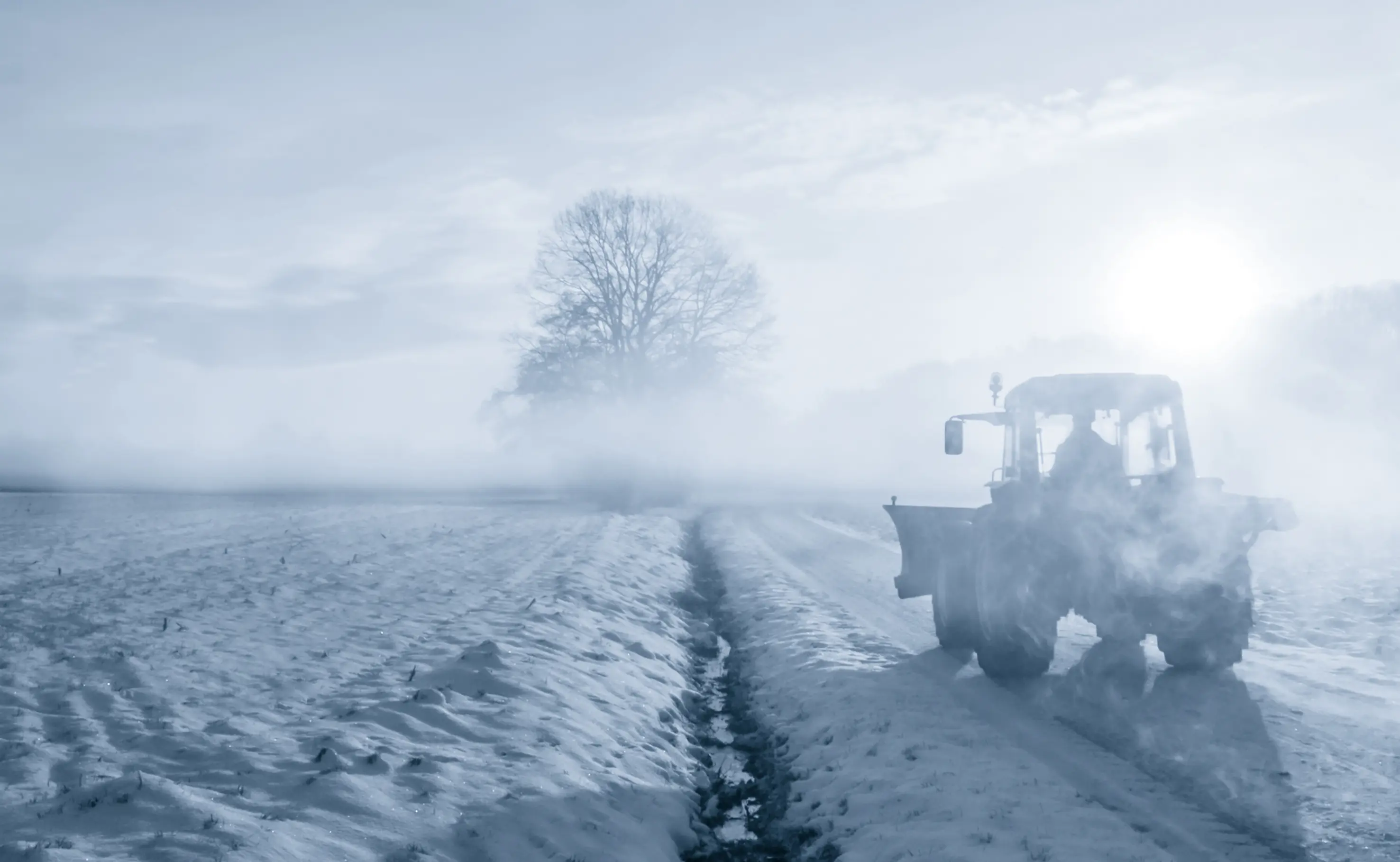 herobilde_Siste nytt