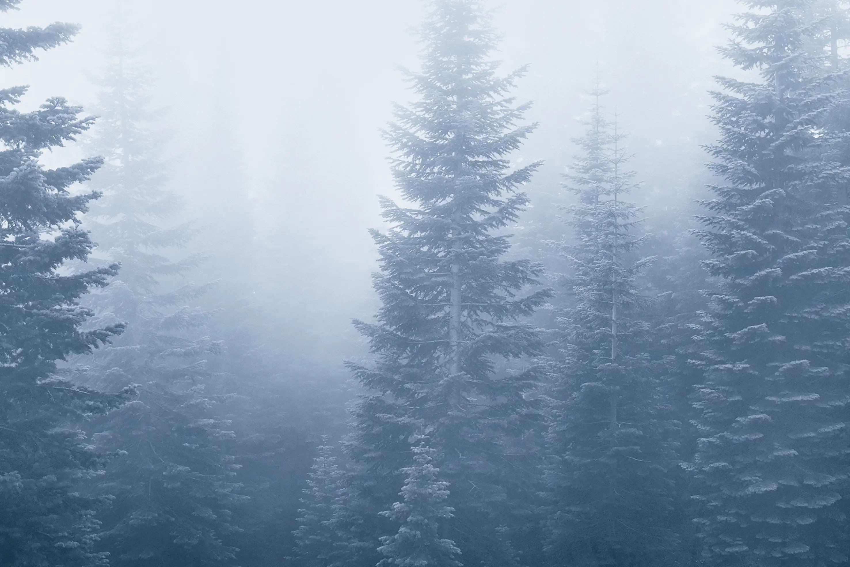 herobilde_Help Center