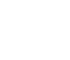 Fram Logo V White RGB